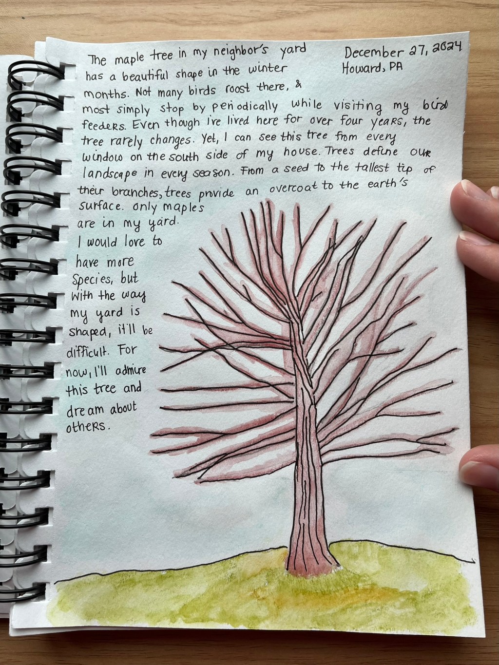 Nature Journaling and&nbsp;Me