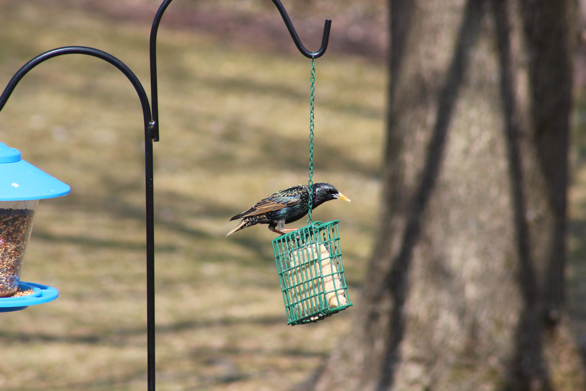 Signs of Spring
