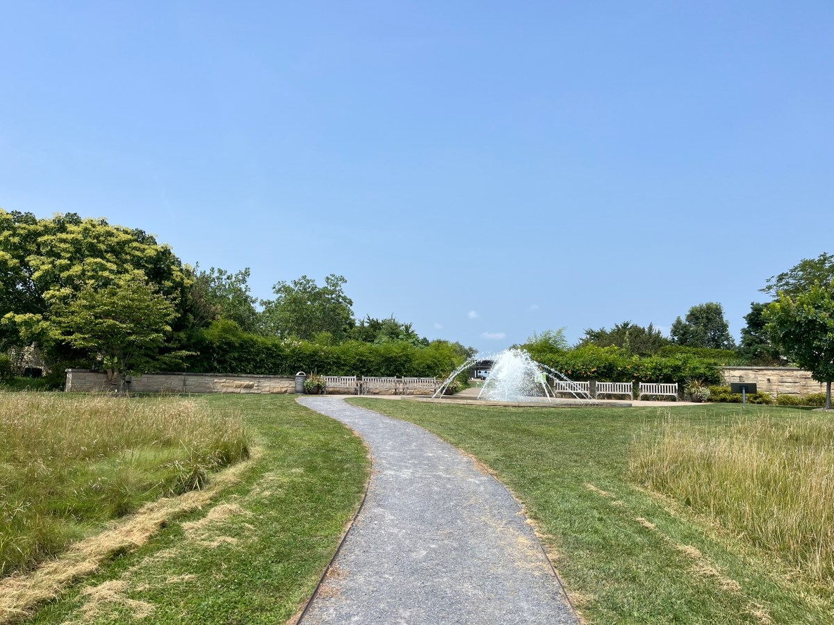 High Summer at the&nbsp;Arboretum